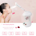 110V Ionic Spraying Machine Facial Steamer